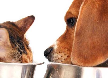 PRI propone Tasa Cero para alimentos de mascotas