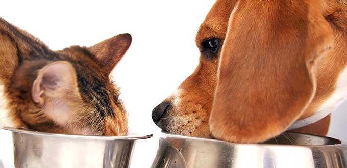Corte valida IVA a alimento para mascotas