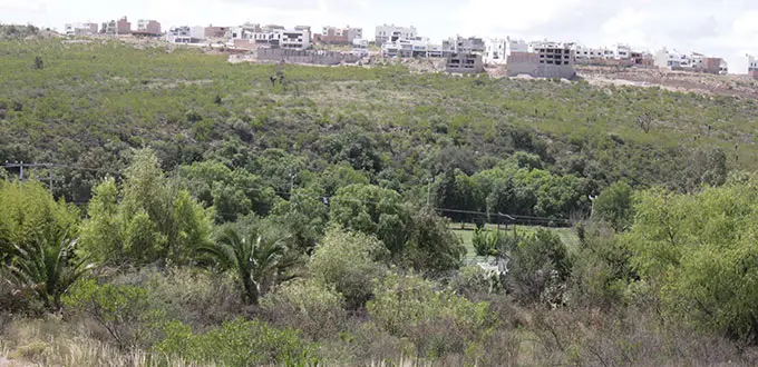 Aprueba iniciar trabajos para zona de conservación ecológica