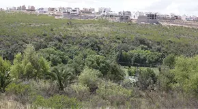 Aprueba iniciar trabajos para zona de conservación ecológica