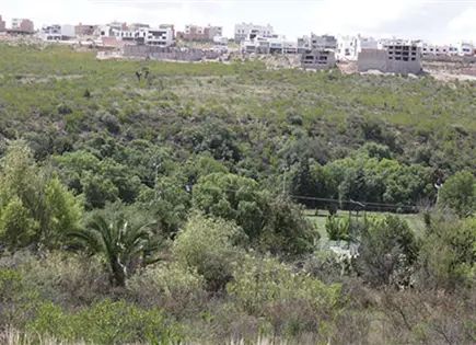 Aprueba iniciar trabajos para zona de conservación ecológica Aprueba iniciar trabajos para zona de conservación ecológica