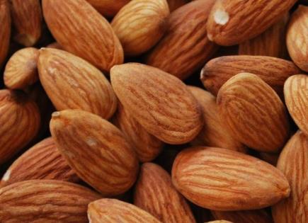 ¿Por qué incluir almendras en tu dieta?