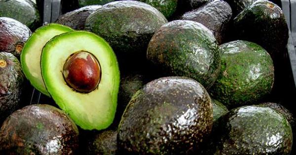 Michoacán produce 80% del aguacate de México