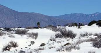 Anuncian reapertura de R&iacute;o Mezquites en Cuatro Ci&eacute;negas, Coahuila