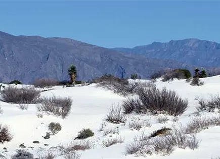 Anuncian reapertura de R&iacute;o Mezquites en Cuatro Ci&eacute;negas, Coahuila
