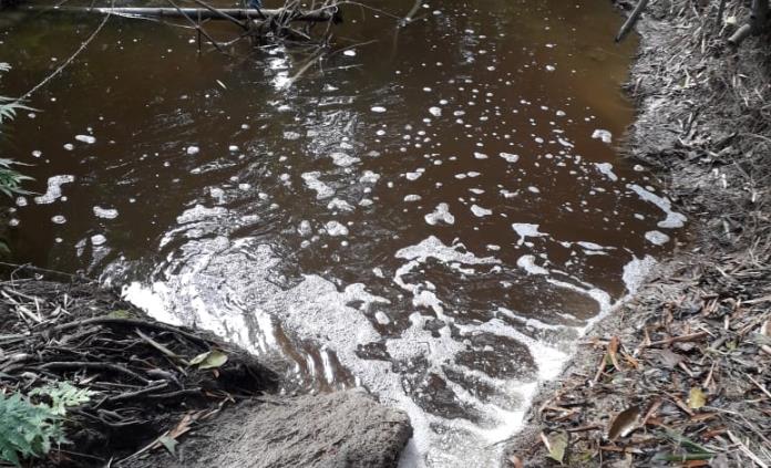 Temen afectaciones en restaurantes cercanos al río Huichihuayán, por contaminación