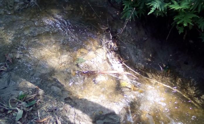 Analiza Segam presentar denuncia ante la Fiscalía por delito ambiental en río Huichihuayán