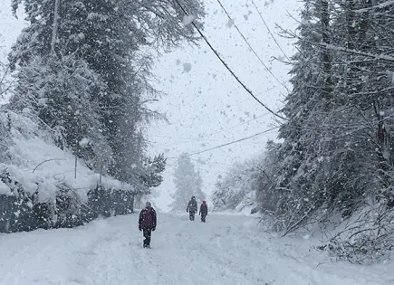 Caída de nieve sorprende a Hawái