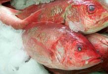 Importancia del consumo de pescado para la salud card&iacute;aca