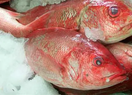 Lim&oacute;n no cocina pescado ni camar&oacute;n, solo altera prote&iacute;nas