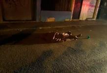 Matan a joven durante riña en El Saucito