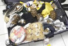 Encuentran más de mil 500 tortugas en maletas en aeropuerto de Filipinas