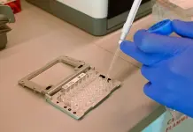 Cient&iacute;ficos pueden estudiar c&eacute;lulas individuales