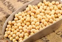 Estudio de Harvard Revela los Beneficios de la Soja en la Salud