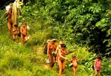 Brasil lanza expedición para contactar a tribu en Amazonas Brasil lanza expedición para contactar a tribu en Amazonas