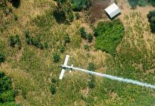 Colombia debate uso de herbicida contra cultivos ilícitos