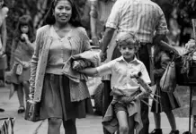 ROMA aspira a los premios Ariel