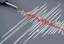 Sismológico Nacional reporta 38 temblores en siete estados