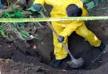 Van 18 cuerpos localizados en fosas clandestinas de Mazatl&aacute;n