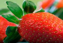 Alimentos que no son tan buenos como parecen Alimentos que no son tan buenos como parecen