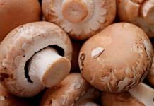 Comer hongos disminuye la demencia cerebral