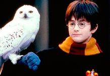 Muertes, polémicas y enfermedades de los actores de Harry Potter