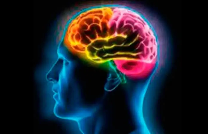 Uso excesivo de IA ocasiona atrofia cerebral, considera la UNAM