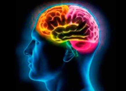 Impacto de TDP-43 en lesiones cerebrales y enfermedades neurológicas