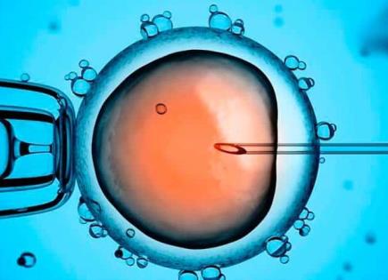 Investigación sobre células madre y modelos embrionarios