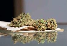 Marihuana medicinal sin impuestos, propone consultor en Senado