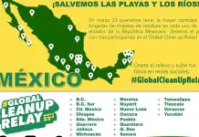 Invitan a sumarse a iniciativa de limpieza en playas, r&iacute;os y bosques