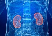 Alertan al Senado de M&eacute;xico por aumento de enfermedad renal y urgen medidas preventivas