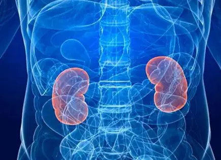 Se celebra el día mundial del cáncer de riñón: Prevención y Concienciación