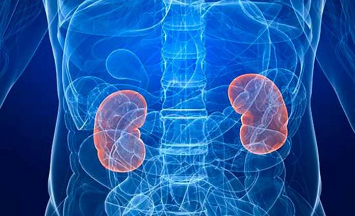 Diseñan sensor para detectar problemas de riñón al analizar la orina