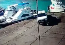 Dura sanci&oacute;n a ciudadano que atropell&oacute; a pel&iacute;cano en las Islas Gal&aacute;pagos (VIDEO)