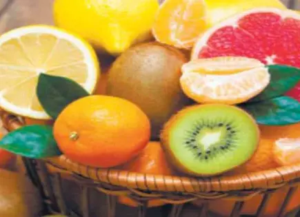 Alimentos esenciales para fortalecer el sistema inmune en invierno Alimentos esenciales para fortalecer el sistema inmune en invierno