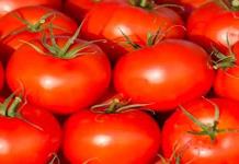 Exportadores de jitomate tienen audiencia en EU Exportadores de jitomate tienen audiencia en EU