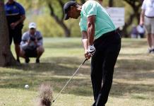 Tiger Woods, el renacido del deporte mundial