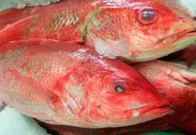 Procuradur&iacute;a del Consumidor supervisa venta de pescados y mariscos 