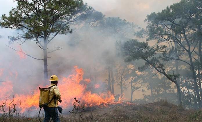 Incendio daña 100 hectáreas en Chiapas