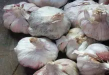 El ajo podr&iacute;a prevenir la p&eacute;rdida de memoria relacionada con la edad