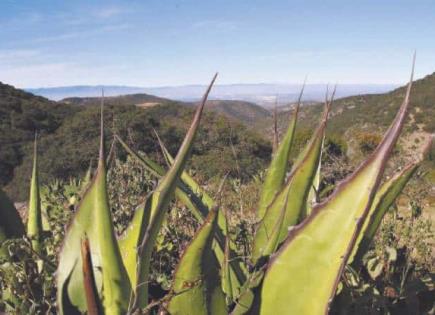 Va Consejo Hídrico por designar a zonas de recarga como Áreas Protegidas