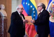 Enviado de Guaidó asume como embajador de facto de Venezuela ante la OEA