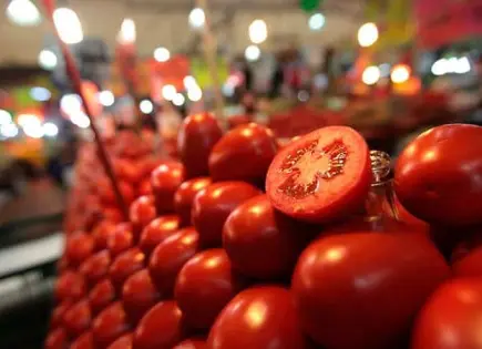 Consejos para mantener tus tomates frescos sin refrigeración