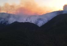 Incendio forestal en la comunidad del Zapote en Rioverde (VIDEO)