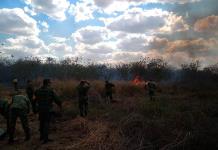 Incendios impactan unas tres mil hectáreas de zonas forestales en Yucatán