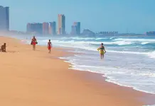 Recolectan m&aacute;s de mil toneladas de basura en playas de Sinaloa