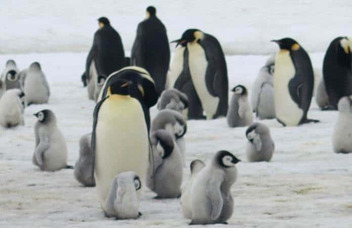 Foto: AP