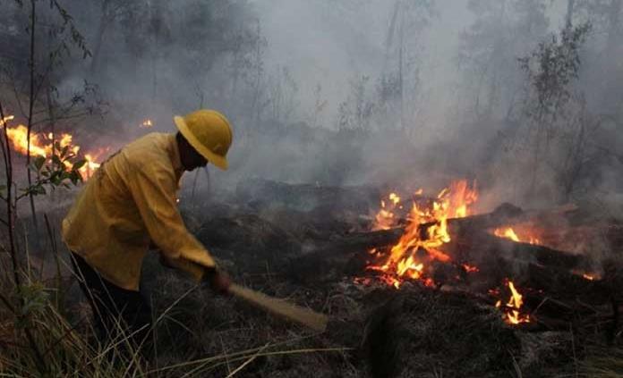 2,500 ha, abrasadas en San Miguelito