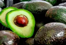 Aguacate mexicano vuelve a hacer suyo Estados Unidos